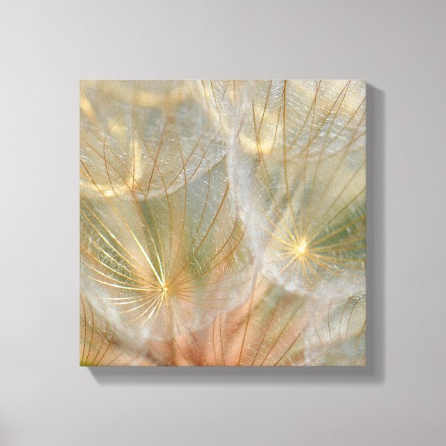 Glowing in the Sun Stretched Canvas Print (Front)
