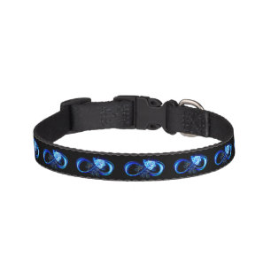 Glowing infinity with blue rose pet collar