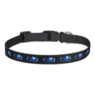 Glowing infinity with blue rose pet collar