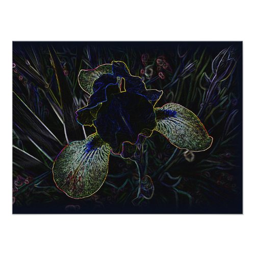 Glowing Iris Photo Print