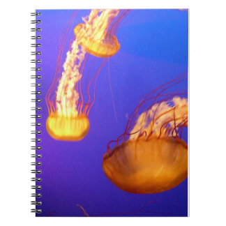 GLOWING JELLYFISH SPIRAL BOUND NOTEBOOK