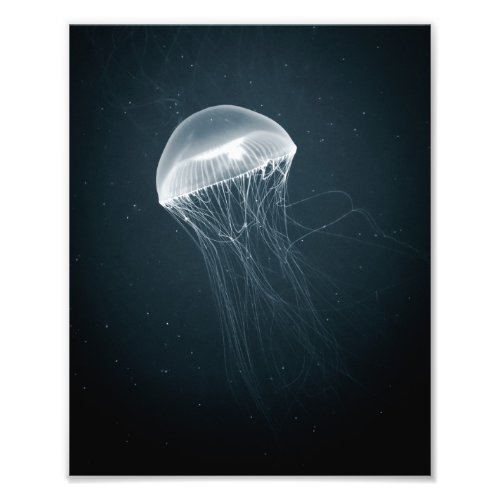 Glowing Jellyfish  Underwater Photography Photo Print