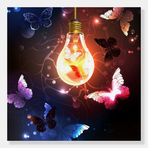 Glowing Light Bulb with Night Butterflies Foam Board