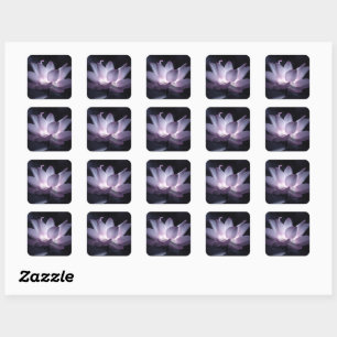 Glowing lotus flower decorative floral photography square sticker