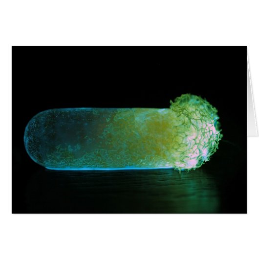 Glowing luminous pill cards (Front Horizontal)
