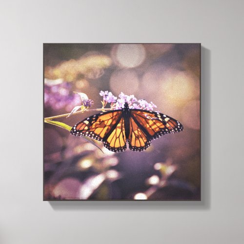 Glowing Monarch Butterfly Soft Purple Bokeh Canvas Print