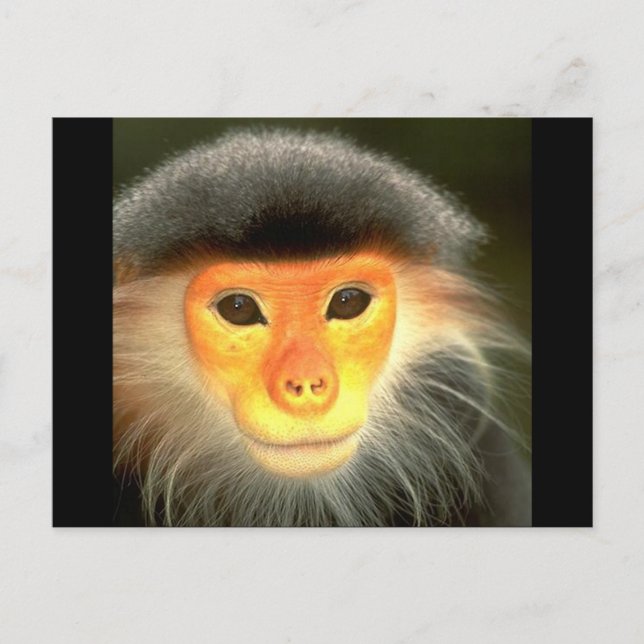 Glowing Monkey Postcard (Front)