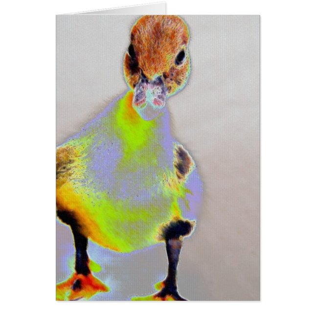 Glowing Muscovy Cards (Front)