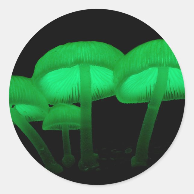 Glowing Mushrooms Classic Round Sticker (Front)