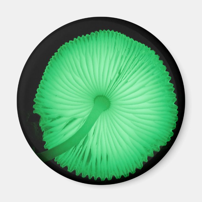 Glowing Mushrooms Magnet (Front)