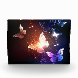 Glowing Night Butterflies Acrylic Award