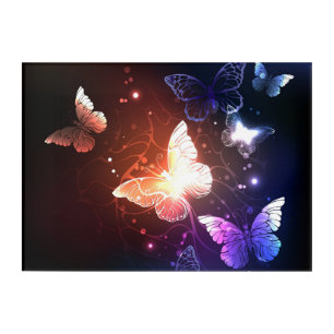 Glowing Night Butterflies Acrylic Print