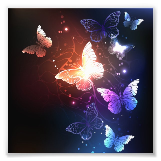 Glowing Night Butterflies Photo Print (Front)