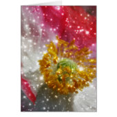 Glowing Poppy (Front)