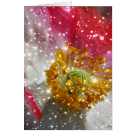 Glowing Poppy Cards (Front)