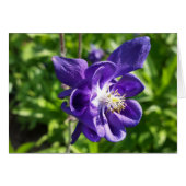 glowing purple flower (Front Horizontal)