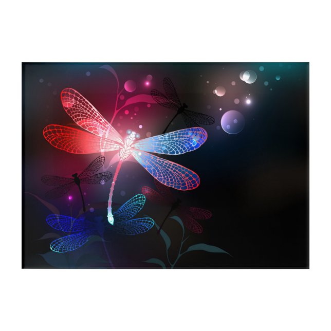 Glowing red dragonfly acrylic print (Front)