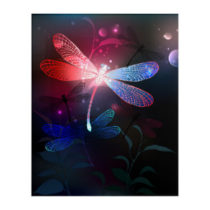 Glowing red dragonfly acrylic print