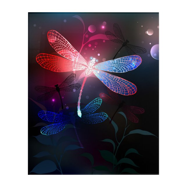 Glowing red dragonfly acrylic print (Front)