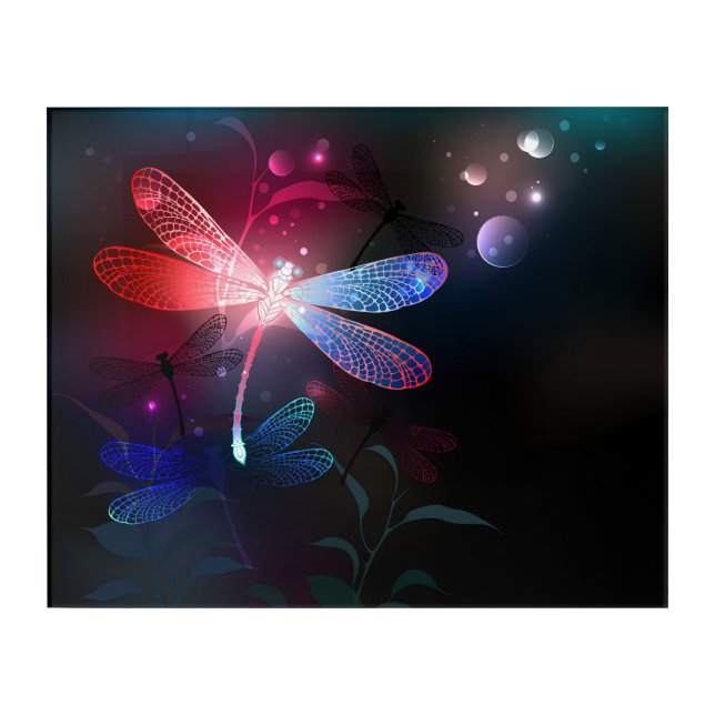 Glowing red dragonfly acrylic print (Front)