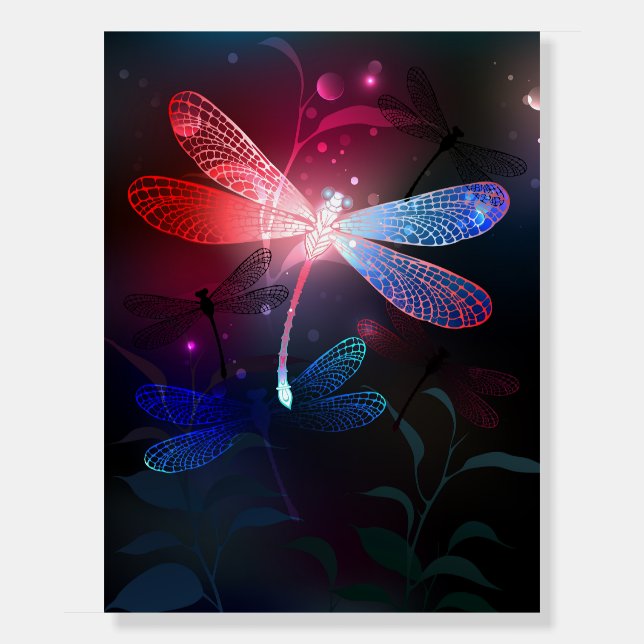 Glowing red dragonfly foam board (Front)