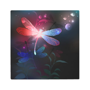 Glowing red dragonfly metal print