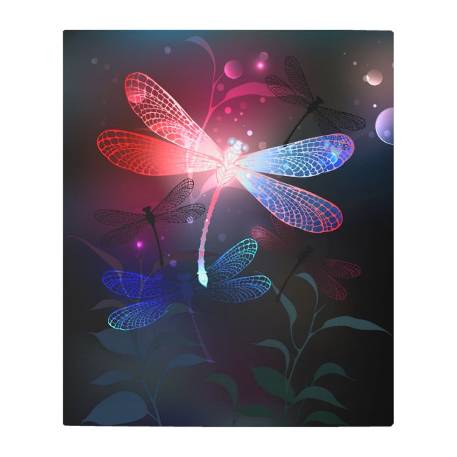 Glowing red dragonfly metal print (Front)