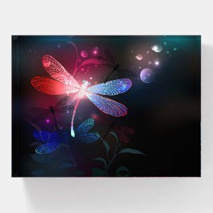 Glowing red dragonfly paperweight
