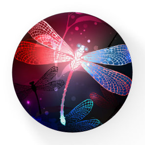 Glowing red dragonfly paperweight
