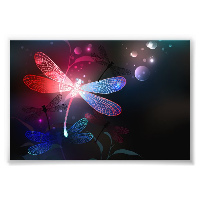 Glowing red dragonfly photo print (Front)