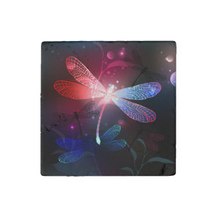 Glowing red dragonfly stone magnet