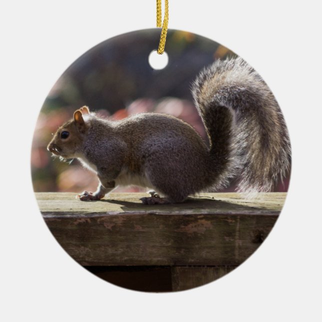 Glowing Squirrel Ceramic Ornament (Front)