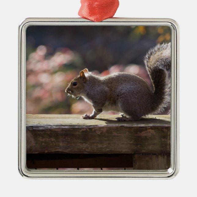 Glowing Squirrel Metal Ornament (Front)