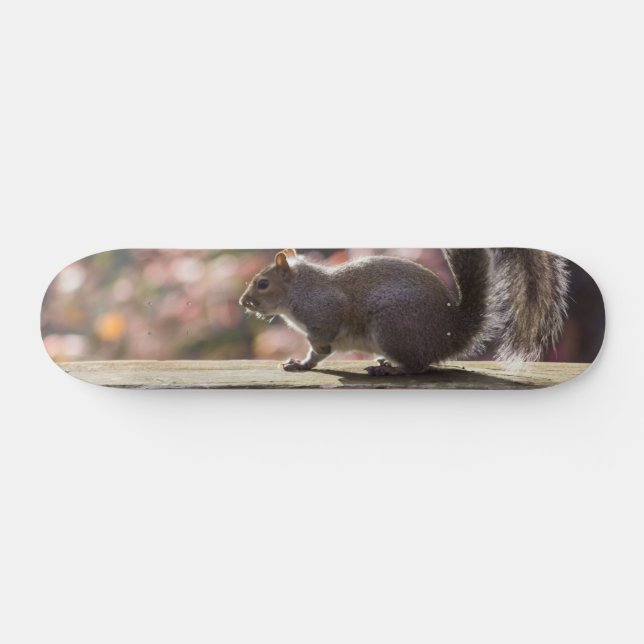 Glowing Squirrel Skateboard Deck (Horz)