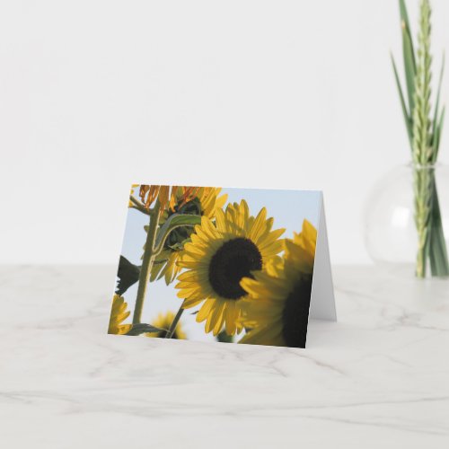 Glowing Sunflower Note Card 