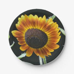 Glowing Sunflower Paper Plate