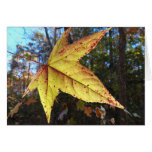 Glowing Sweetgum Leaf in the Forest Cards