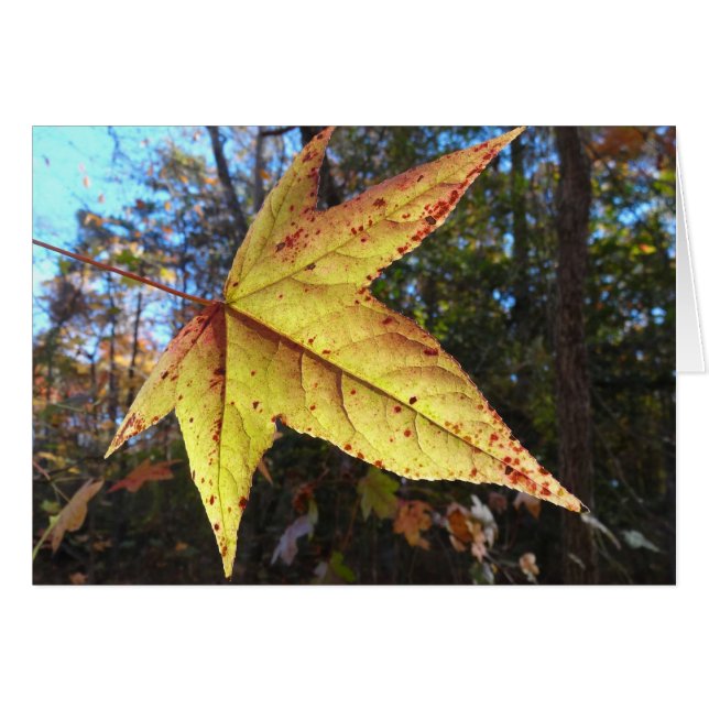 Glowing Sweetgum Leaf in the Forest Cards (Front Horizontal)