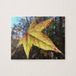 Glowing Sweetgum Leaf in the Forest Jigsaw Puzzle