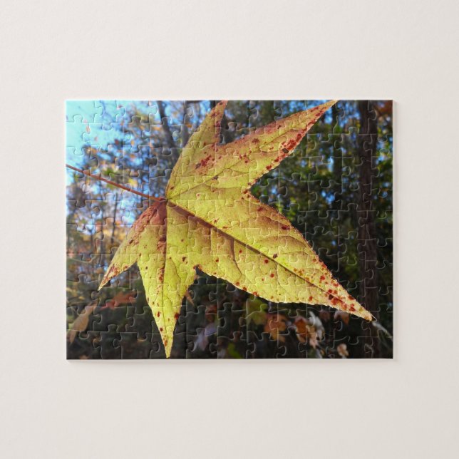Glowing Sweetgum Leaf in the Forest Jigsaw Puzzle (Horizontal)