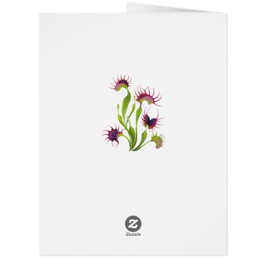 Glowing Venus Flytrap (Back)