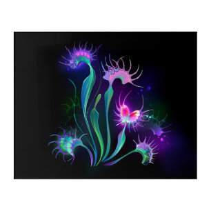 Glowing Venus Flytrap Acrylic Print