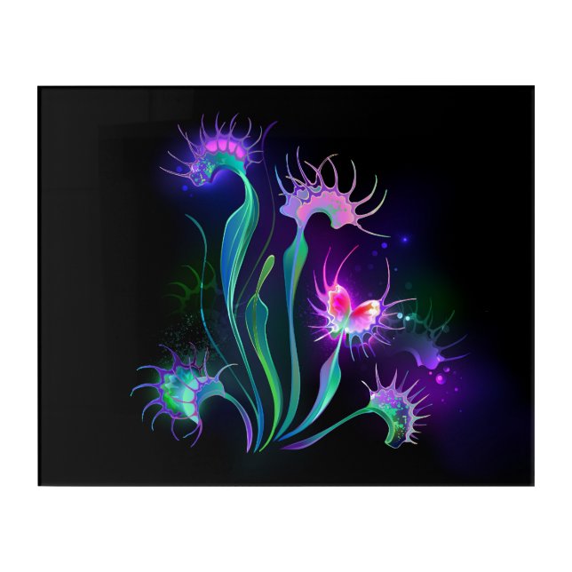 Glowing Venus Flytrap Acrylic Print (Front)