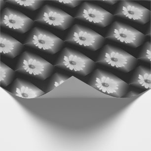 glowing white daisy on black wrapping paper