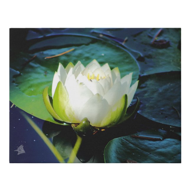 Glowing White Lotus Faux Canvas Print (Front)