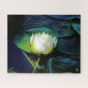 Glowing White Lotus Jigsaw Puzzle