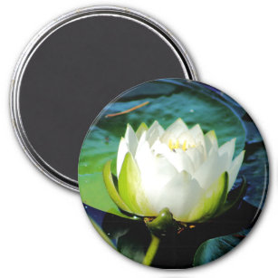 Glowing White Lotus Magnet