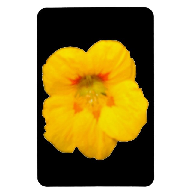 Glowing Yellow Nasturtium Premium Magnet (Vertical)