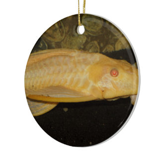 Glyptoperichthys gibbiceps ceramic ornament