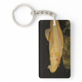 Glyptoperichthys gibbiceps keychain